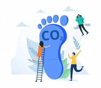 How to reduce your business carbon footprint
