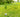 Shredall SDS Group Partners with Plant For The Planet to Plant More Trees