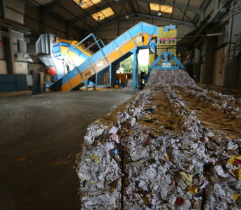 paper waste being disposed