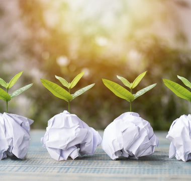 Circular economy of paper