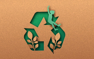 Circular Economy of Cardboard