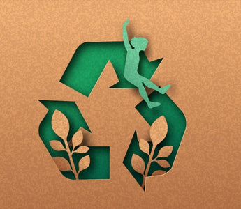 Circular Economy of Cardboard