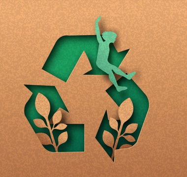 Circular Economy of Cardboard