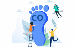 How to reduce your business carbon footprint