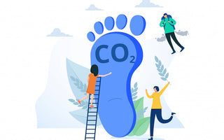12 Ways Businesses Can Reduce Their Carbon Footprint