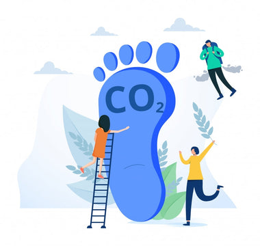 12 Ways Businesses Can Reduce Their Carbon Footprint