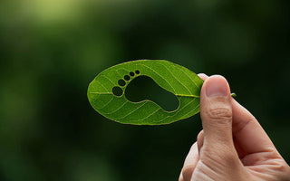 An Update on Our Carbon Footprint Initiatives