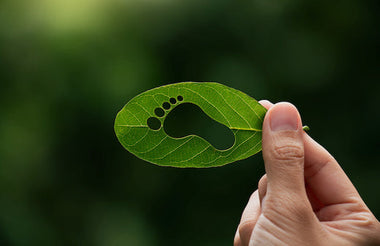 An Update on Our Carbon Footprint Initiatives