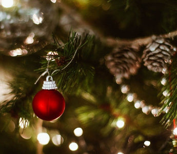 How To Protect Confidential Data Over Christmas