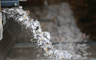 paper being shredded through industrial shredding service.