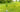Shredall SDS Group Partners with Plant For The Planet to Plant More Trees