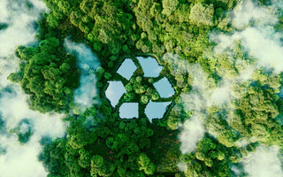 Celebrating World Environment Day 2024